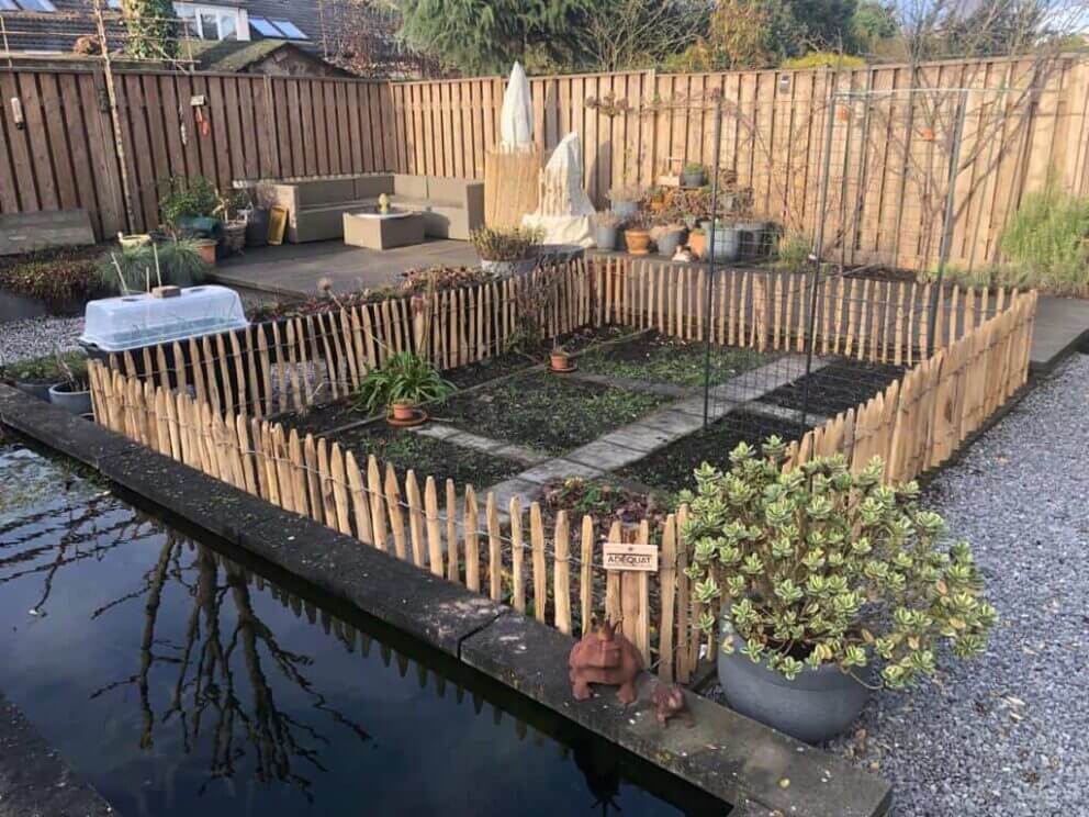 Clôture ganivielle française en bois de châtaignier de 50 cm de hauteur et avec un espacement de 4 cm entre les lattes. Clôture autour de portager.