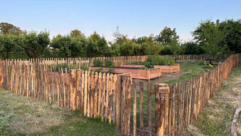 Clôture ganivielle française en bois de châtaignier de 80 cm de hauteur et avec un espacement de 4 cm. entre les lattes. Clôture autour du potager.