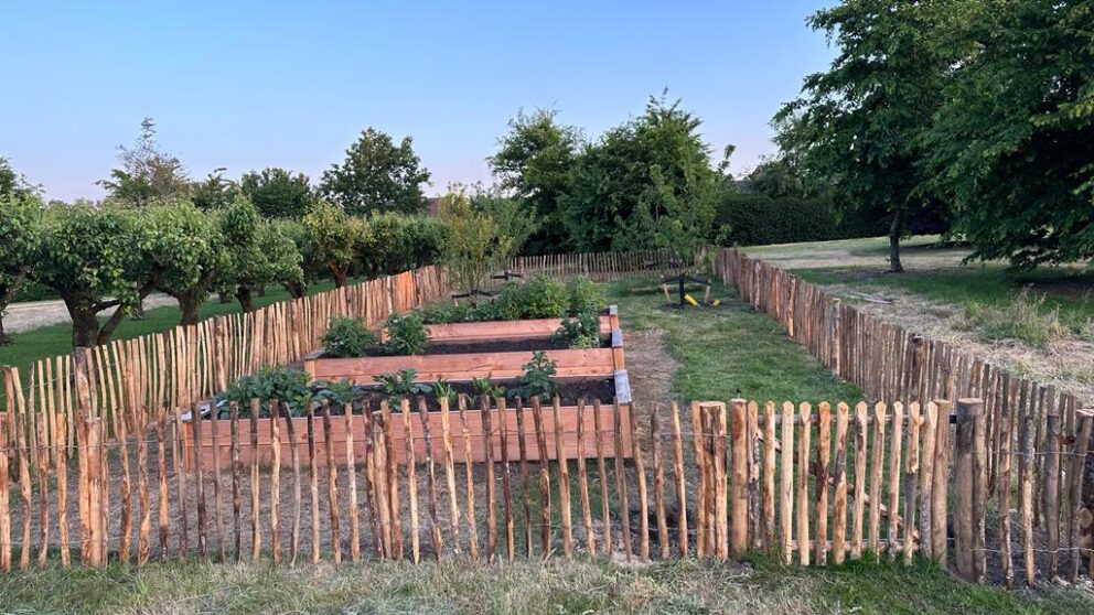 Clôture ganivielle française en bois de châtaignier de 80 cm de hauteur et avec un espacement de 4 cm. entre les lattes. Clôture autour du potager.