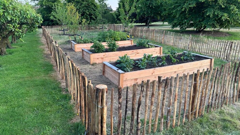 Clôture ganivielle française en bois de châtaignier de 80 cm de hauteur et avec un espacement de 4 cm. entre les lattes. Clôture autour du potager.