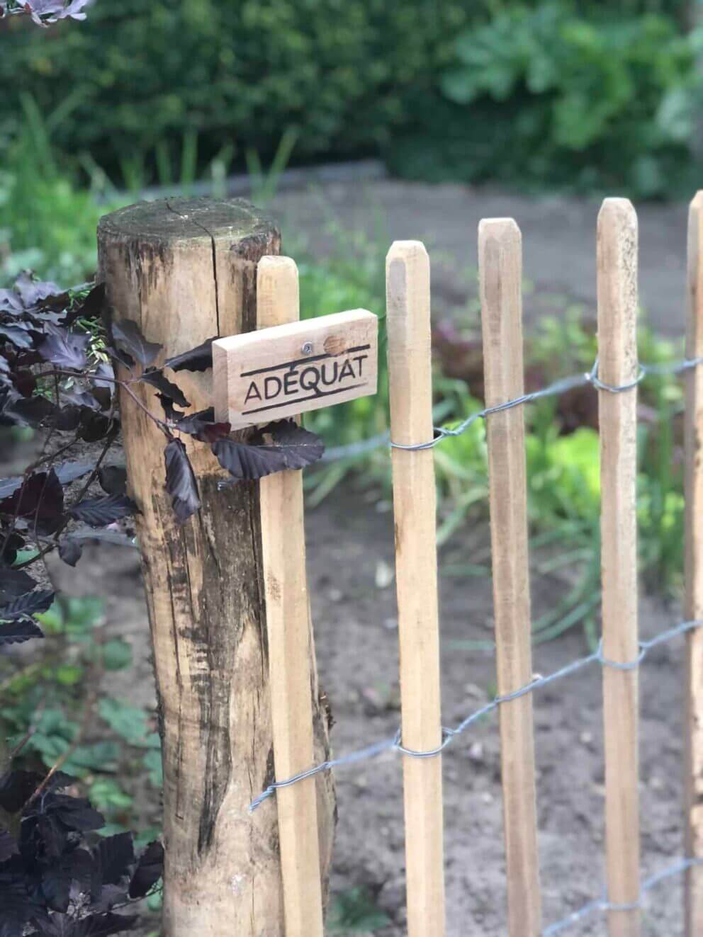 Clôture ganivielle française en bois de châtaignier de 80 cm de hauteur et avec un espacement de 8 cm. entre les lattes.