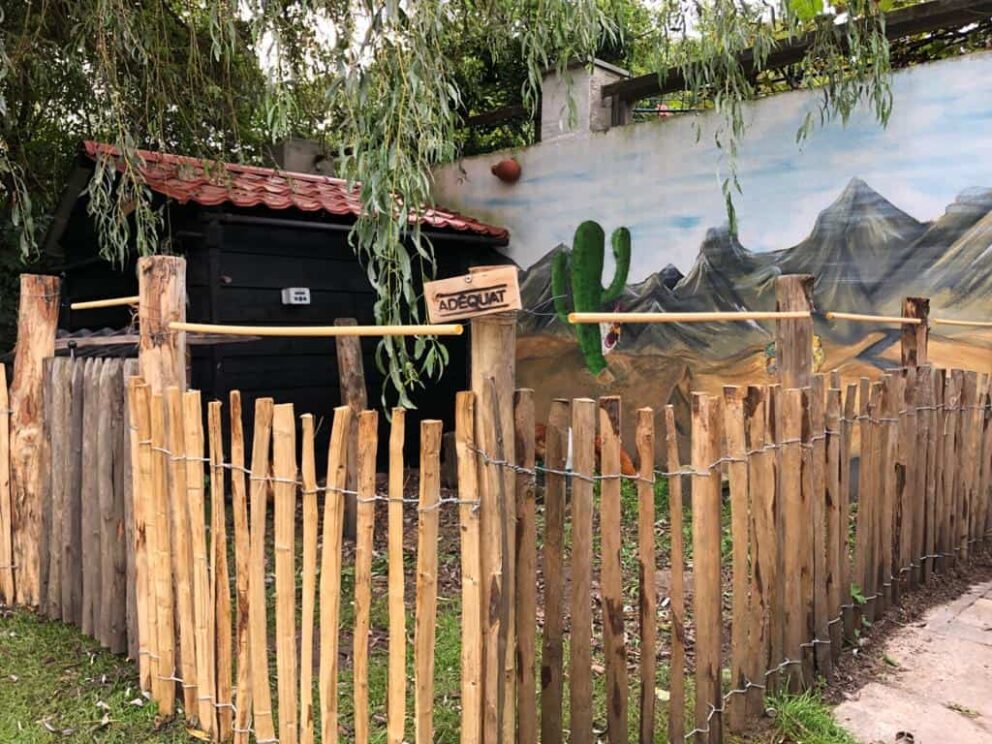 Clôture ganivielle française en bois de châtaignier de 80 cm de hauteur et avec un espacement de 4 cm. entre les lattes. Autour du poulailler.