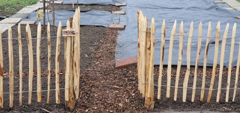 Clôture ganivielle française en bois de châtaignier de 80 cm de hauteur et avec un espacement de 4 cm. entre les lattes. Clôture autour du potager.