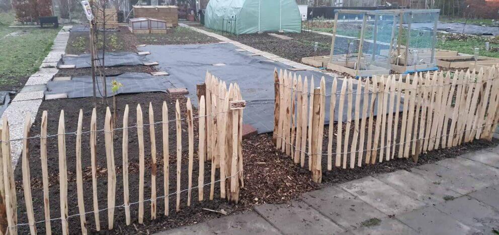 Clôture ganivielle française en bois de châtaignier de 80 cm de hauteur et avec un espacement de 4 cm. entre les lattes. Clôture autour du potager.