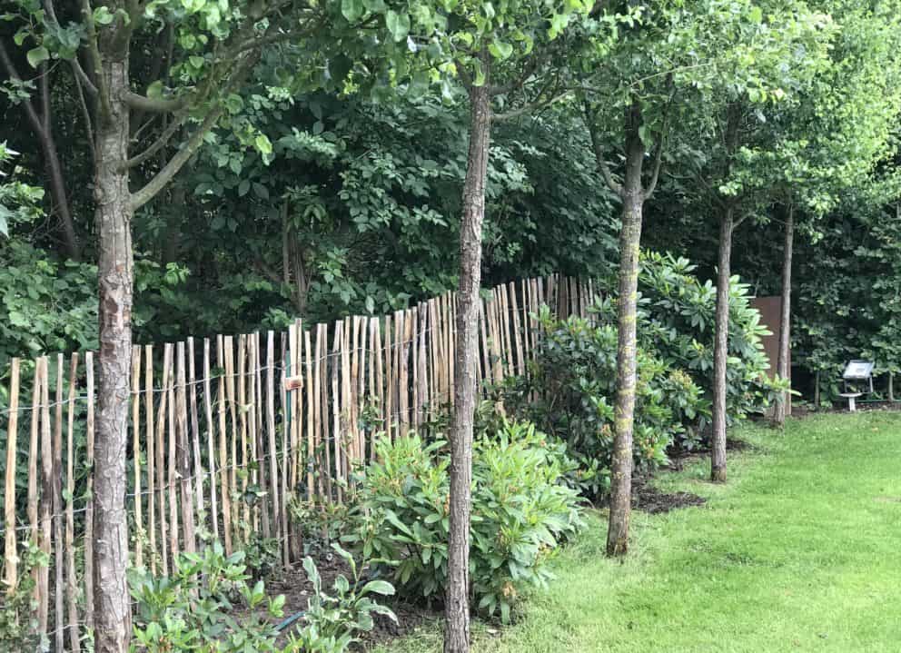 Kastanjehouten schapenhek 120 cm en een latafstand van 8 cm Adequat