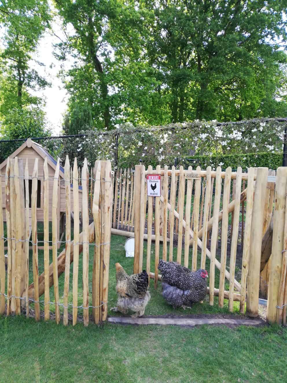 Franse rondhoutpoort van kastanjehout van 120 cm hoog bevestigd aan schappenhek dat fungeerd als een kippenren