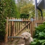 Franse rondhoutpoort van 80 cm bij 80 cm als doorgang naar een tuin met een hondje dat voor de poort zit.