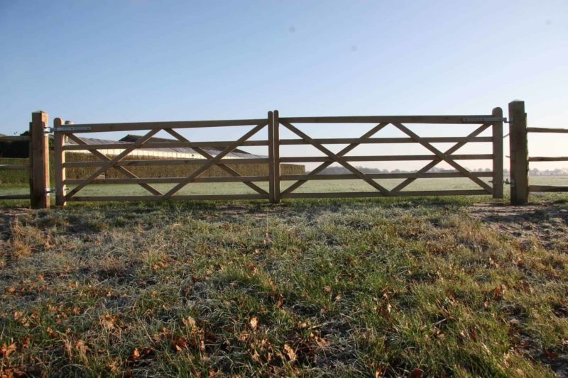 Engelse poort eiken dubbel - Afbeelding 8