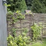 Hazelaarscherm gebruikt als tuinafscheiding in een groene tuin met begroeiing op de afscheiding.