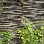 Hazelaarscherm gebruikt als tuinafscheiding in een groene tuin met begroeiing op de afscheiding.