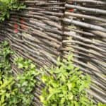 Hazelaarscherm gebruikt als tuinafscheiding in een groene tuin met begroeiing op de afscheiding.