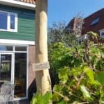 Robiniapalen 10-12 400 cm lang voor pergola