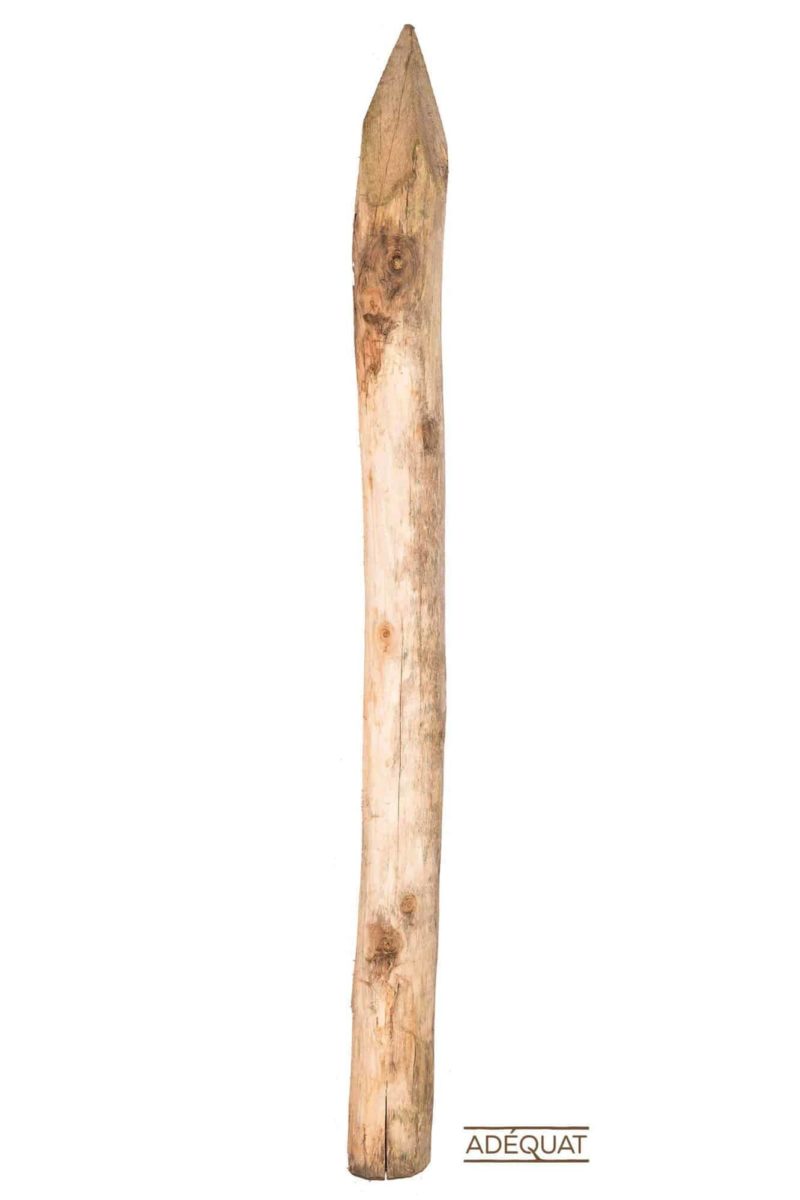 Robinia paal Ø 10/12 cm - Afbeelding 2