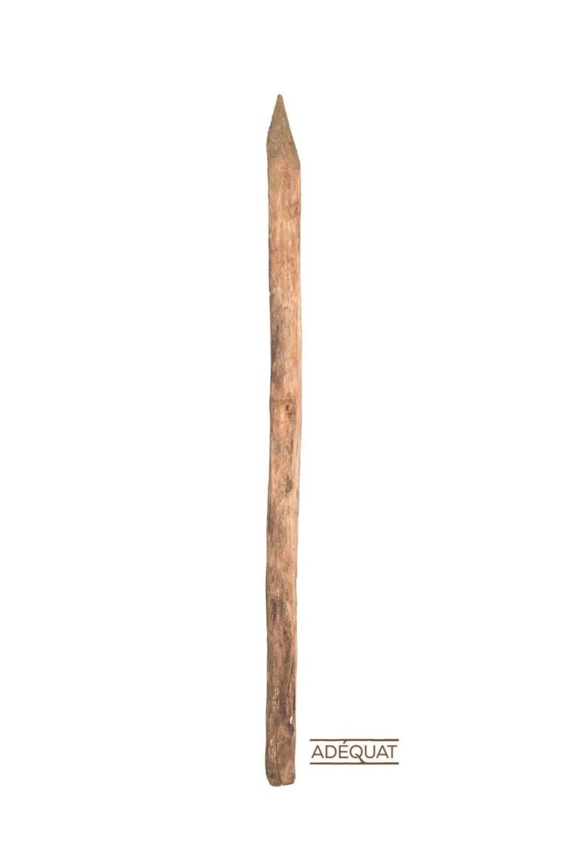 Robinia paal Ø 6/8 cm - Afbeelding 2