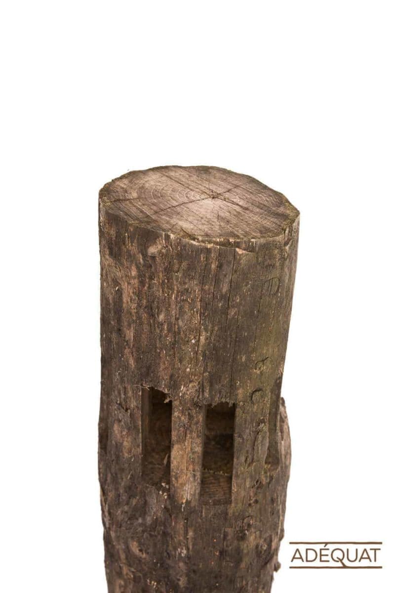 T-post robinia 2 niveau - Afbeelding 2