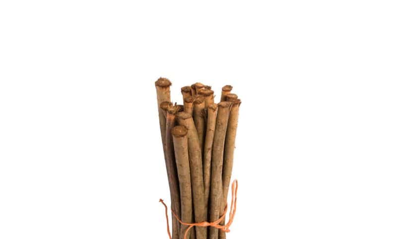 Wilgentenen per bos