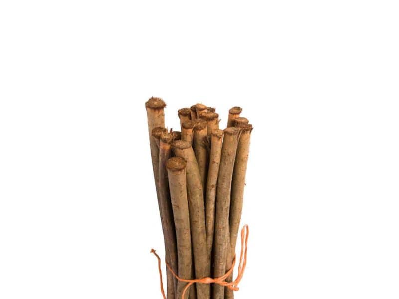 Wilgentenen per bos