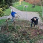 het vlechten van een afscheiding van wilgentenen