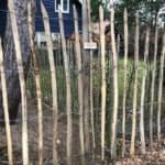 Kastanjehouten schapenhek 175 cm en een latafstand van 10 cm Adequat