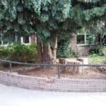 De before foto van de tuin voordat er een wilgentenen scherm geplaatst werd. Hier is de stam van de grote boom te zien en een deel van het huis. Er is weinig privacy.