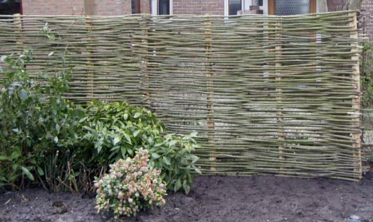 verse wilgentenen