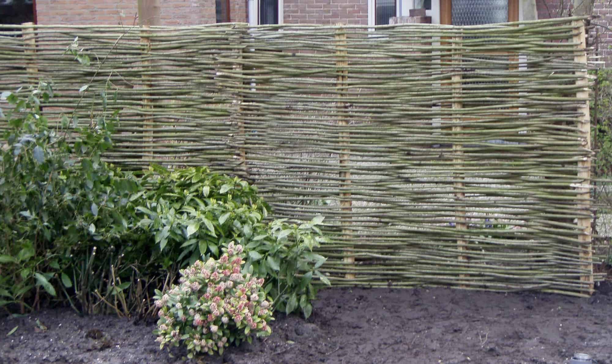 verse wilgentenen