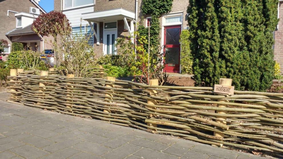 wilgentenen schutting