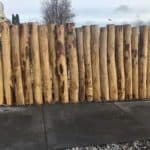 Kastanjepaal diameter 10-12 cm