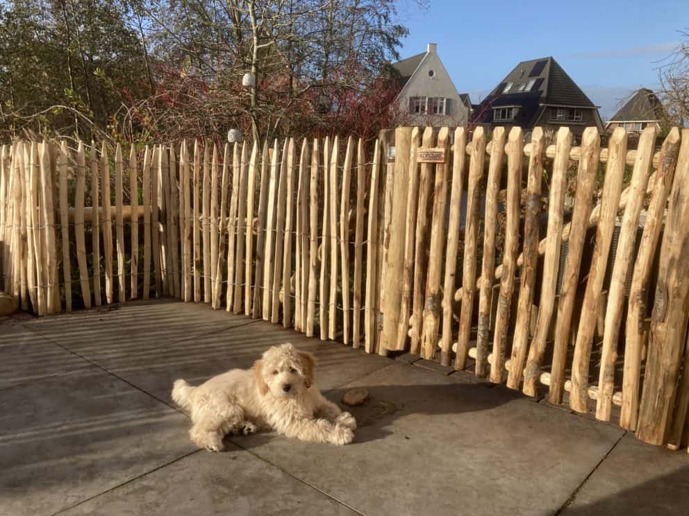 schapenhek 100 cm Adequat