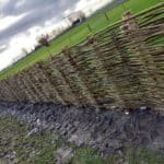 wilgentenen met kastanjepalen
