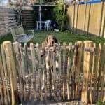 Franse rondhoutpoort van 100 cm breed en 100 cm hoog als doorgang naar de tuin met een hong die tegen de poort aan staat.