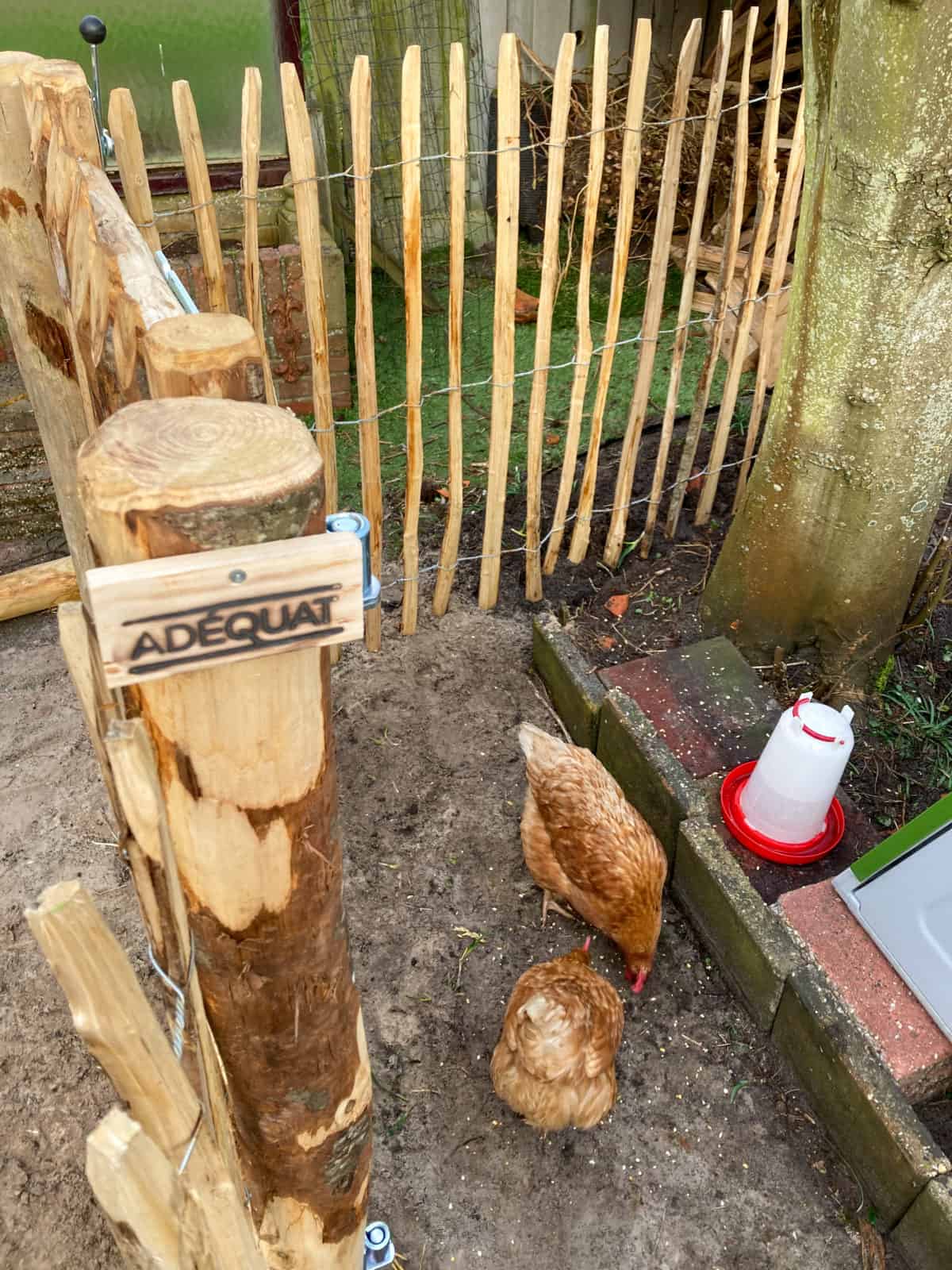 Schapenhek 120 met latafstand 6 cm en een rondhoutpoort voor de kippen