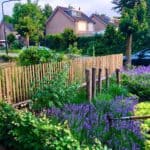 Schapenhek robinia 80 cm en latafstand 4 cm