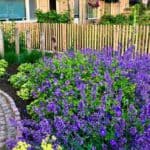 schapenhek robinia 80 cm H met lat-afstand 4 cm