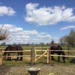 Post & rail 2 niveau