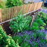 Schapenhek Robinia geschuurd 80 cm hoog met latafstand 4 cm Adéquat