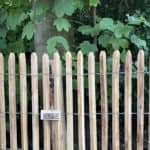 Schapenhek robinia 80 cm hoog met een latafstand 4 cm Adéquat