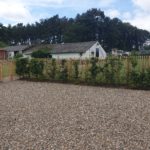 Frans Schapenhek 120 cm Adequat
