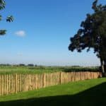 Frans Schapenhek 80 cm Adequat