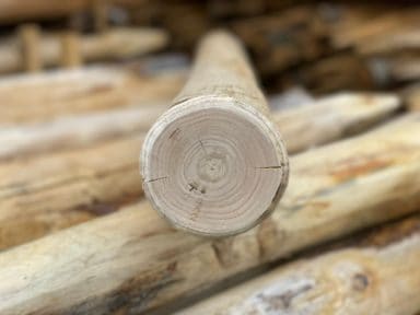 Kastanje paal | houten paal van kastanje | Adéquat