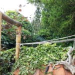 Pergola maken | Kastanje palen | Adéquat