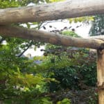 Pergola bouwen kastanjehout | Adéquat