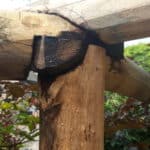 Pergola bouwen kastanjehout palen diameter 10-12 cm| Adéquat
