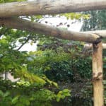 Pergola bouwen kastanjehout palen diameter 10-12 cm| Adéquat
