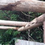 Pergola bouwen kastanjehout palen diameter 10-12 cm | Adéquat