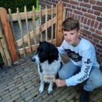 Frans schapenhek van kastanjehout met een hoogte van 80 cm en een latafstand van 6 cm
