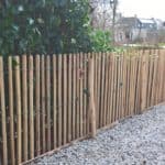 Schapenhek robinia 120 cm hoog