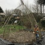 hut van wilgentenen