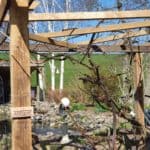 Pergola van kastanjehouten plankenen balken Adéquat