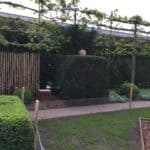 Rasterscherm 175 cm hoog met latafstand 2 cm als afscheiding in de tuin bij een heg.